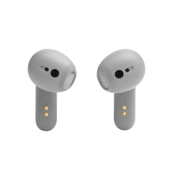 JBL Live Flex TWS Earbuds